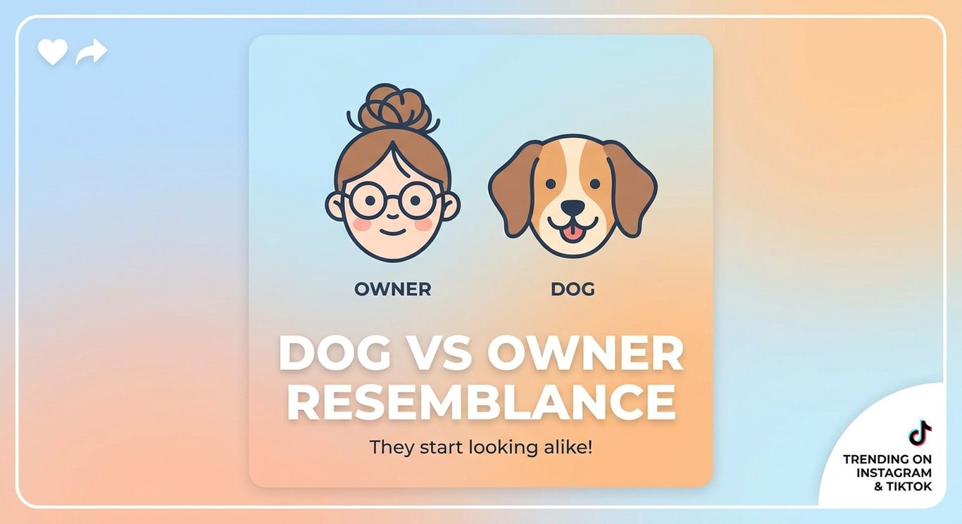Dog vs Owner Resemblance sample output variant